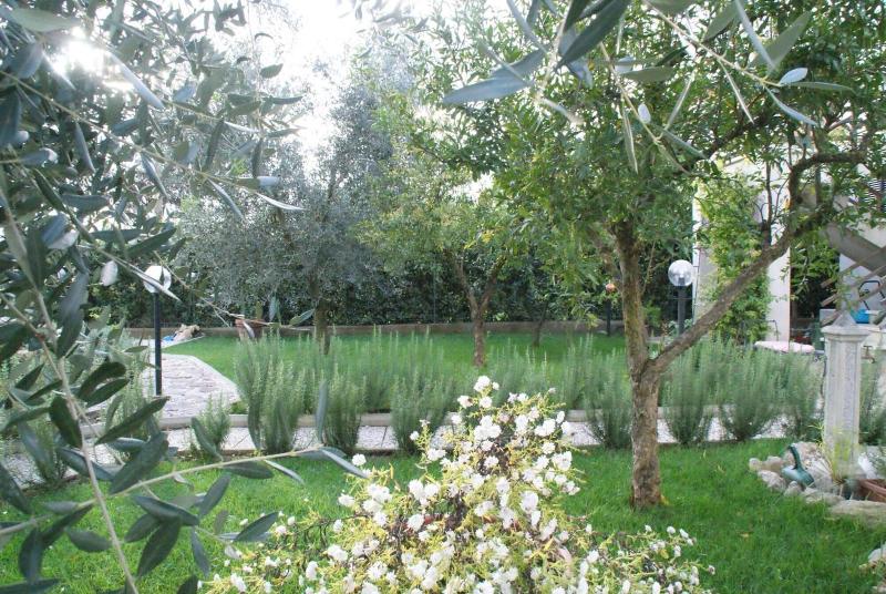 Bed & Breakfast Degli Ulivi image