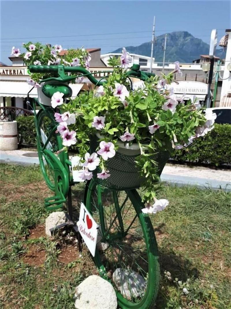 La Marinella image