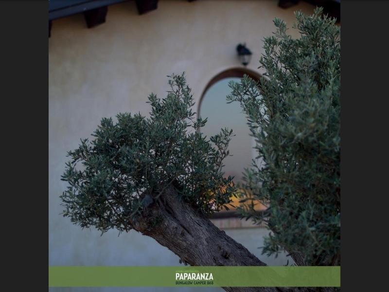 Agriturismo Paparanza image