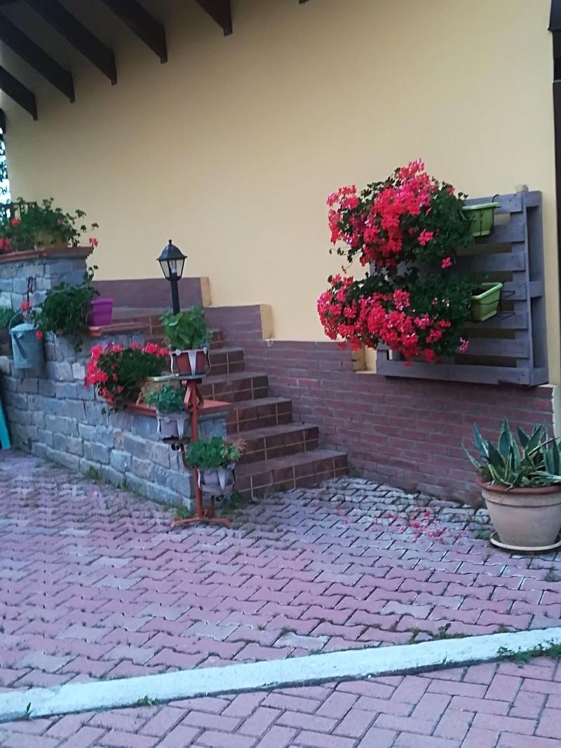 Casa Fiorita — photo 4