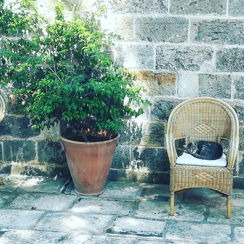 Masseria Fracchicchi image
