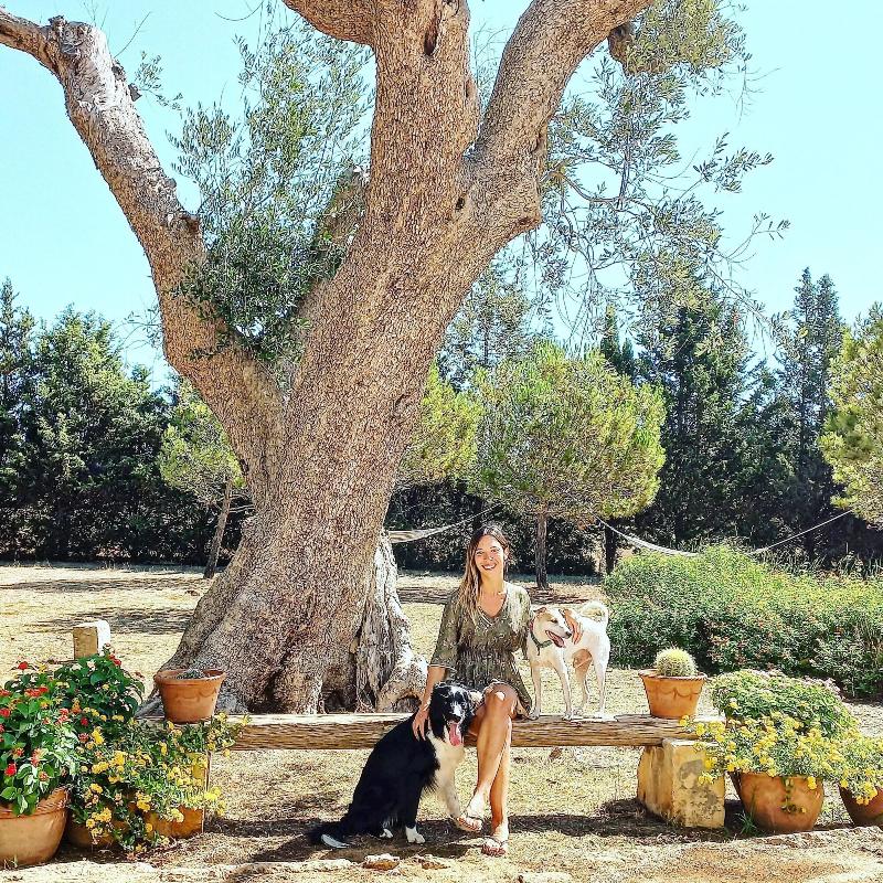 Masseria Fracchicchi image