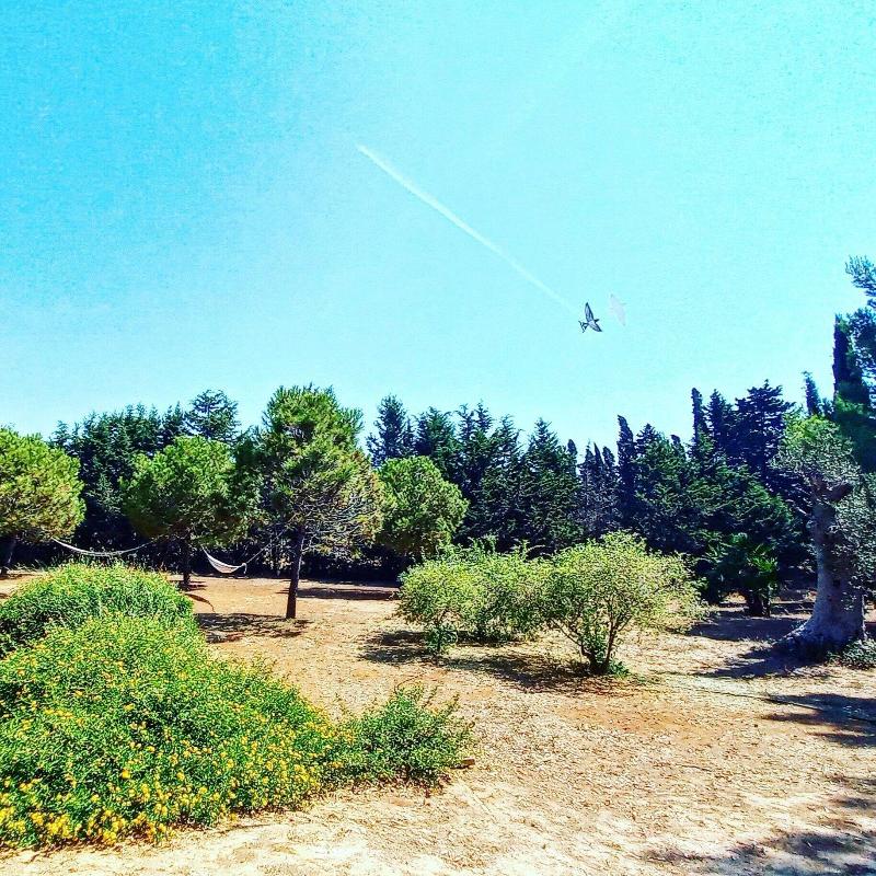 Masseria Fracchicchi image
