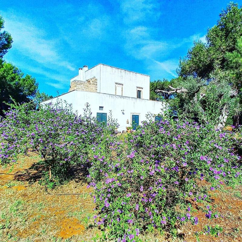 Masseria Fracchicchi image