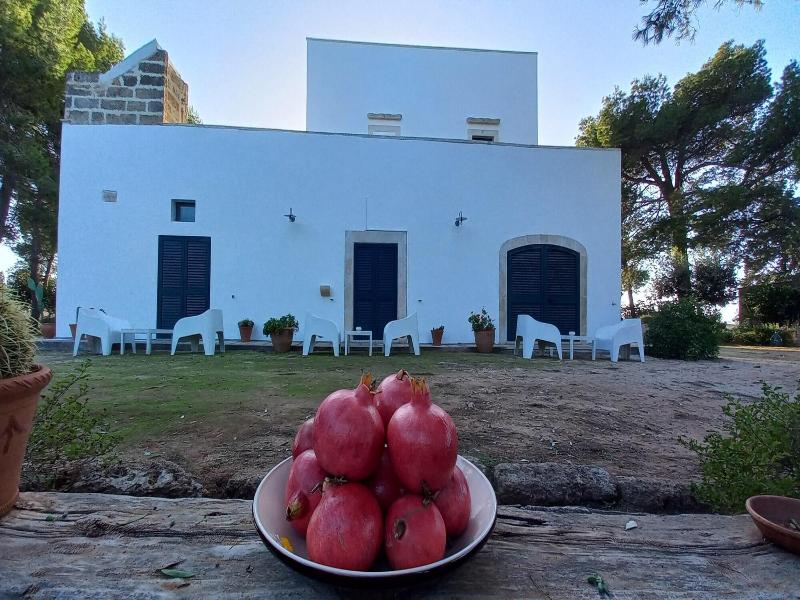 Masseria Fracchicchi image