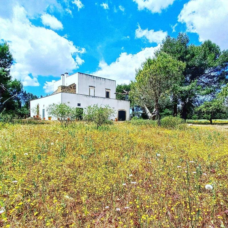 Masseria Fracchicchi image