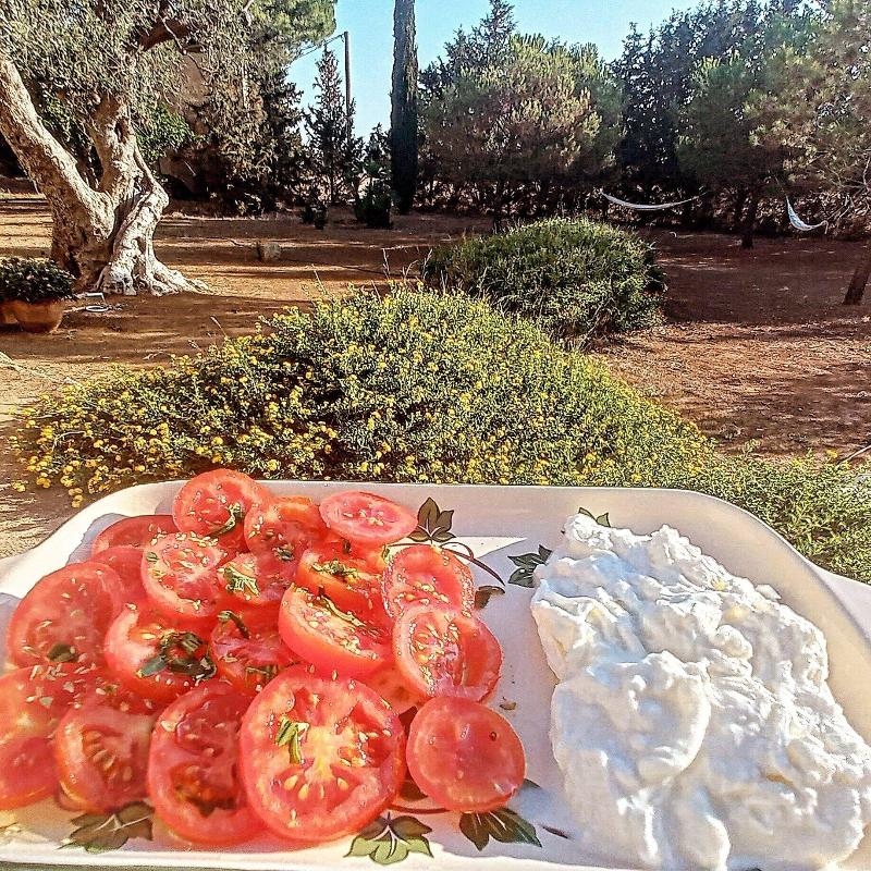 Masseria Fracchicchi image