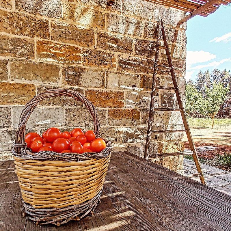 Masseria Fracchicchi image