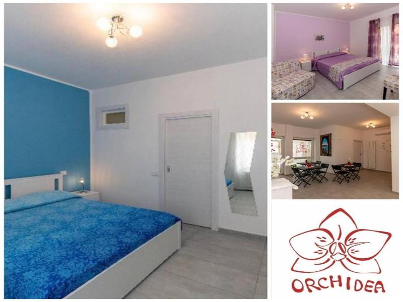 B&B Orchidea — general view