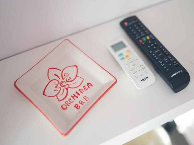 B&B Orchidea image