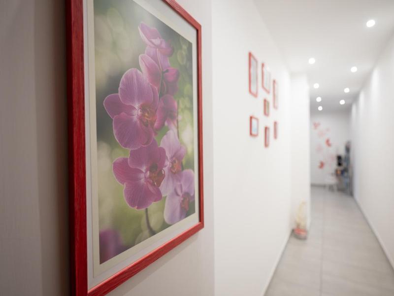 B&B Orchidea image