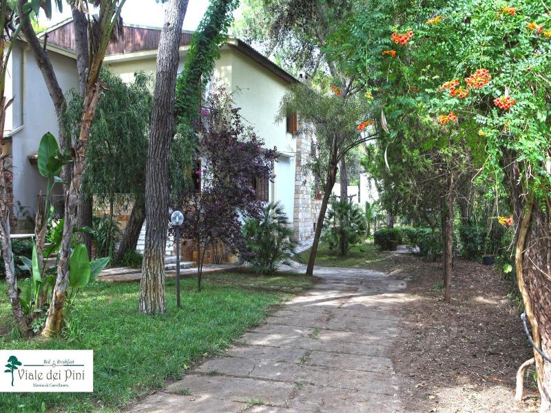 B&B Viale dei Pini image