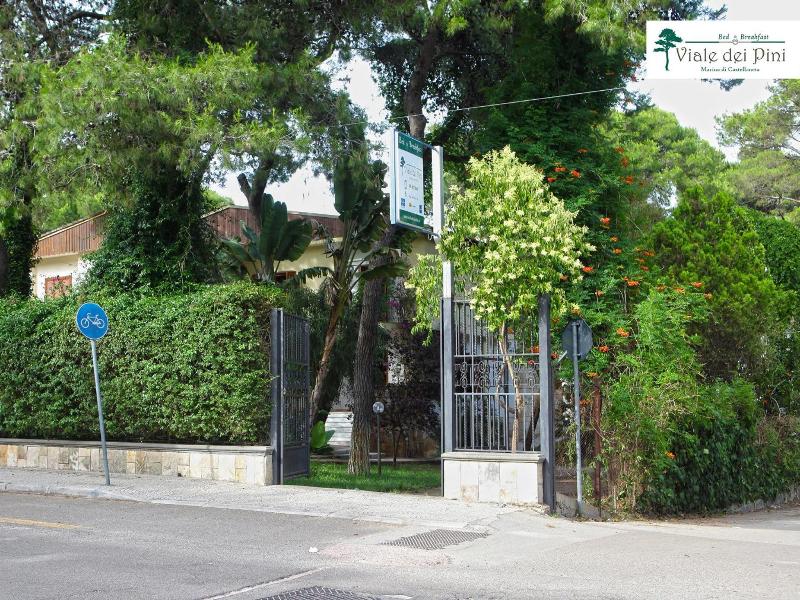 B&B Viale dei Pini image