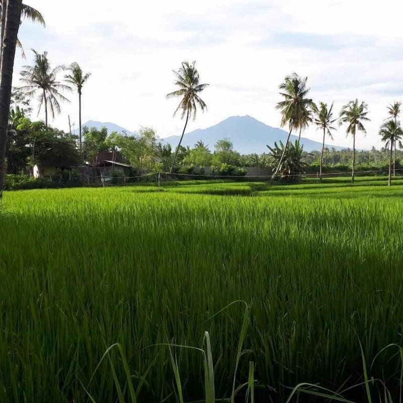 De Lungguh Family Homestay image