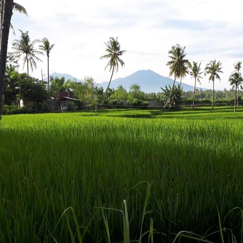 De Lungguh Family Homestay image