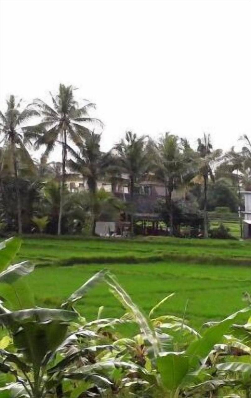 Nirwa Ubud Homestay image