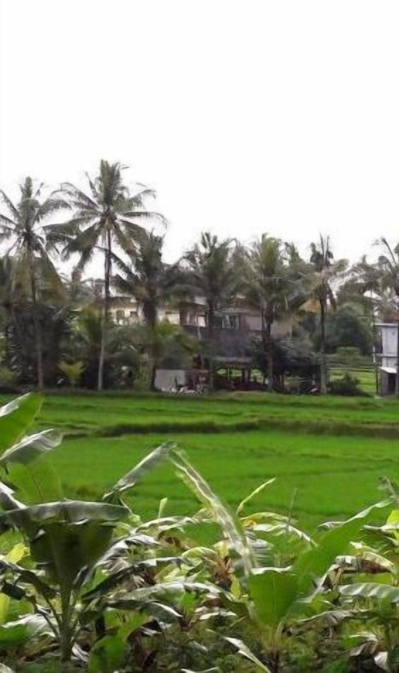 Nirwa Ubud Homestay image