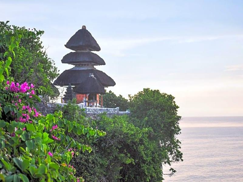 Alamanda image