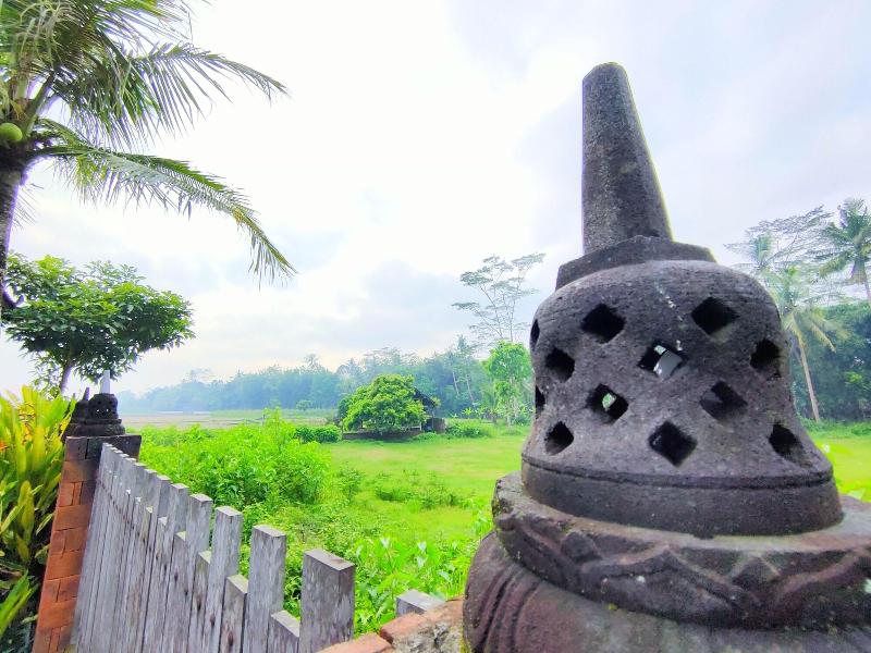 The Amrta Borobudur image