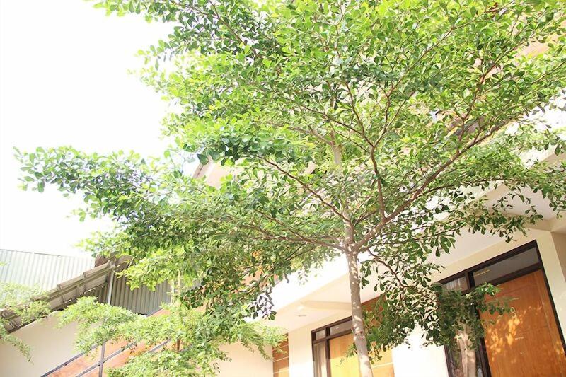 Bamboe Inn Homestay image