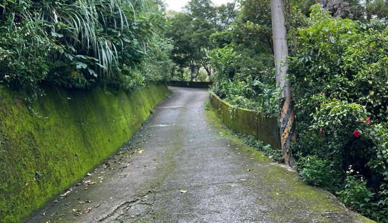 Shan Xing Ji Ye Homestay — photo 5