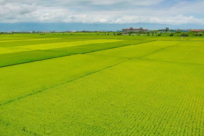 Wudai Homestay image