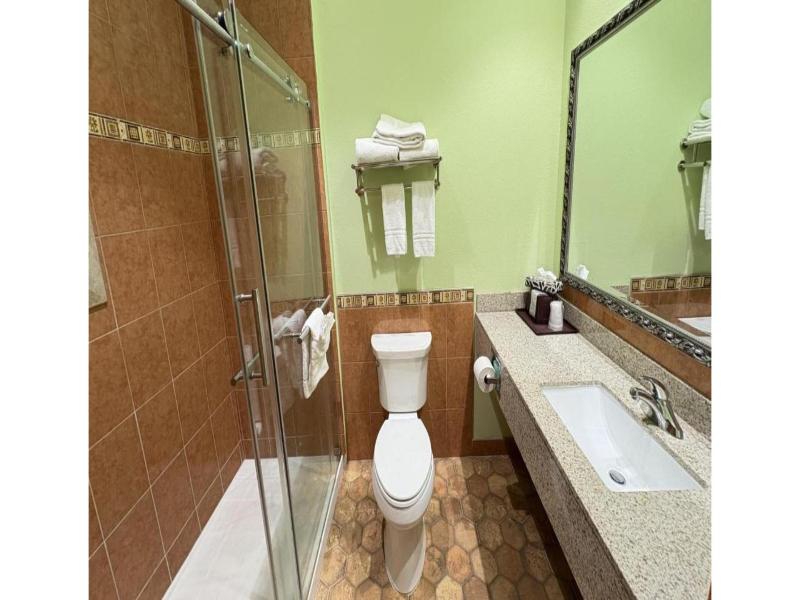 Regency Inn & Suites By Capital O Houston IAH Apt image