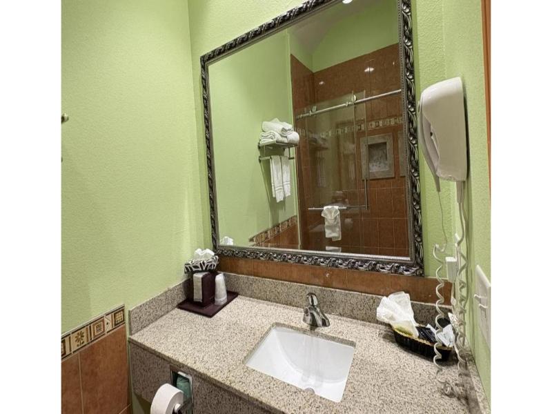 Regency Inn & Suites By Capital O Houston IAH Apt image