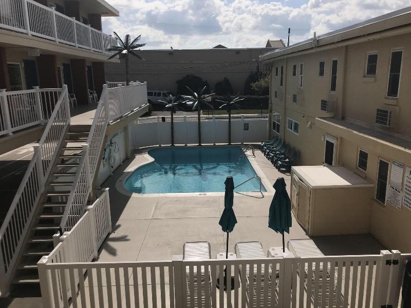 Seahorse Inn image