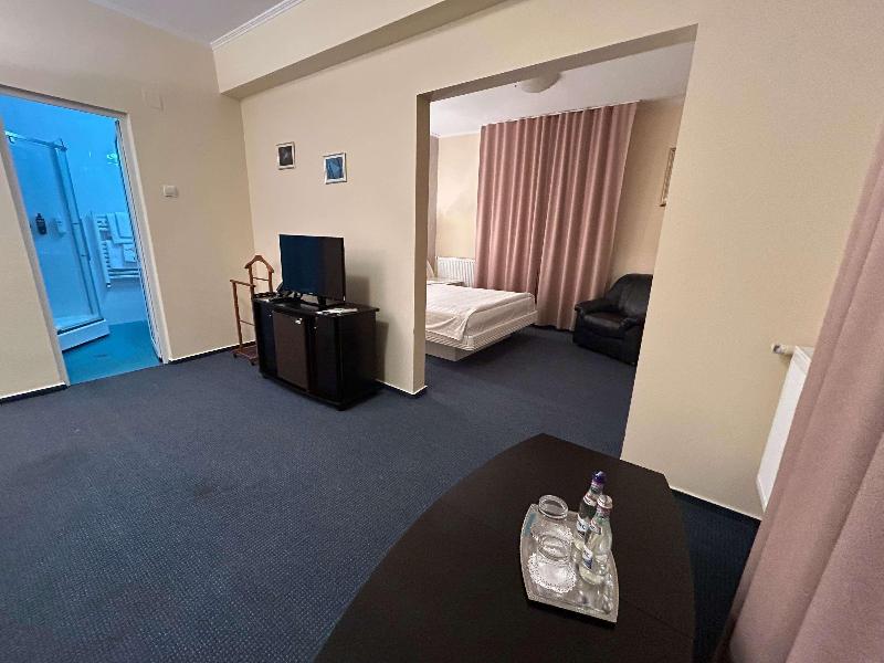 ibis Styles Dunarea Galati image
