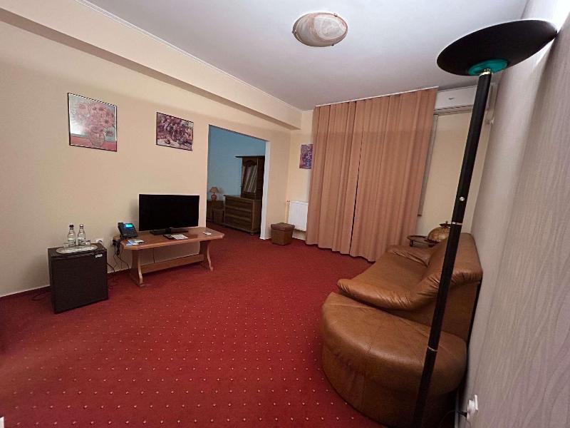 ibis Styles Dunarea Galati image