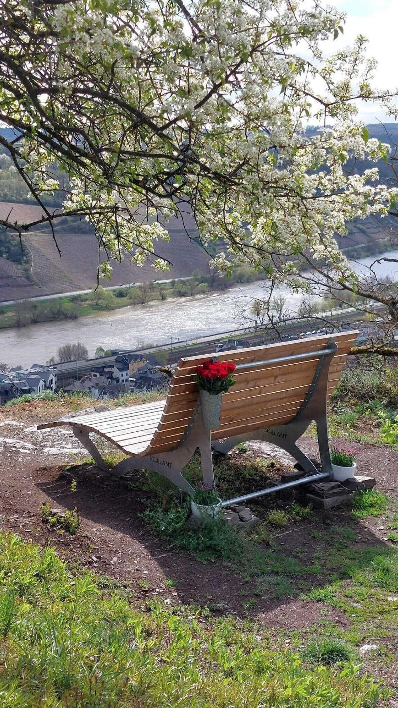Hotel Zur Kupferkanne image