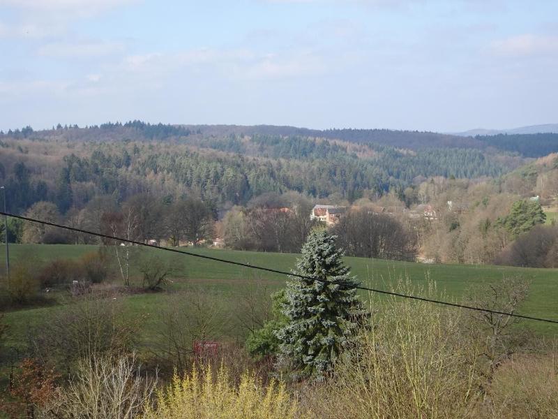Hotel Pension Schlossgarten image