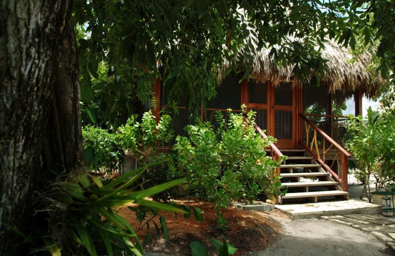 Turtle Inn By Francis Ford Coppola image