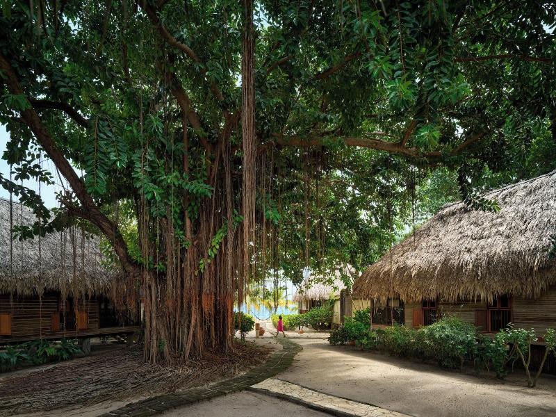 Turtle Inn By Francis Ford Coppola image