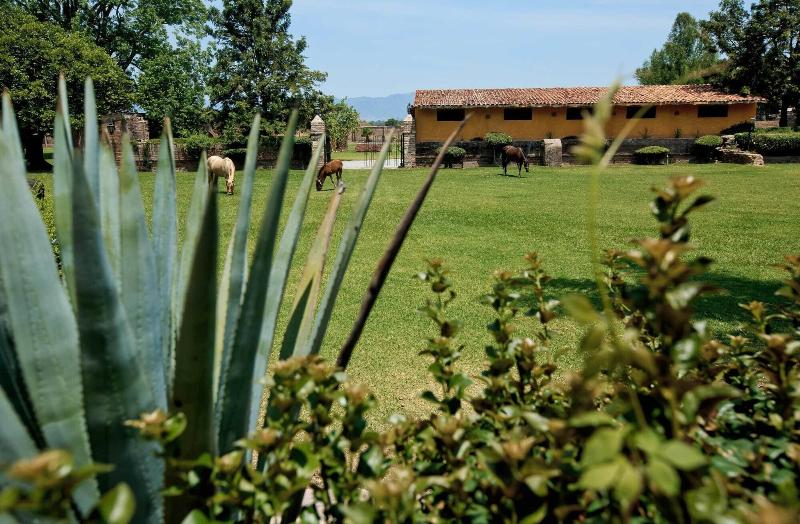 Hacienda El Carmen Hotel Spa image