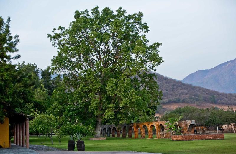 Hacienda El Carmen Hotel Spa image