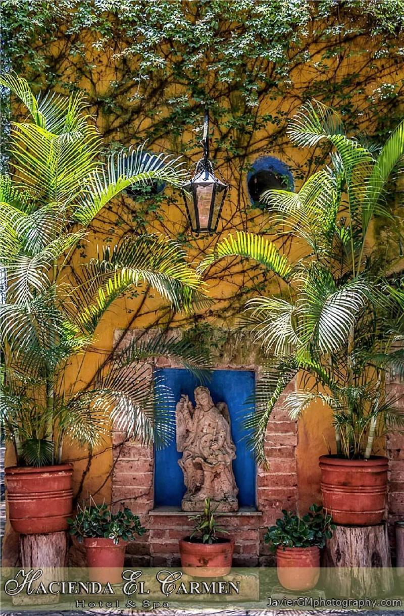 Hacienda El Carmen Hotel Spa image