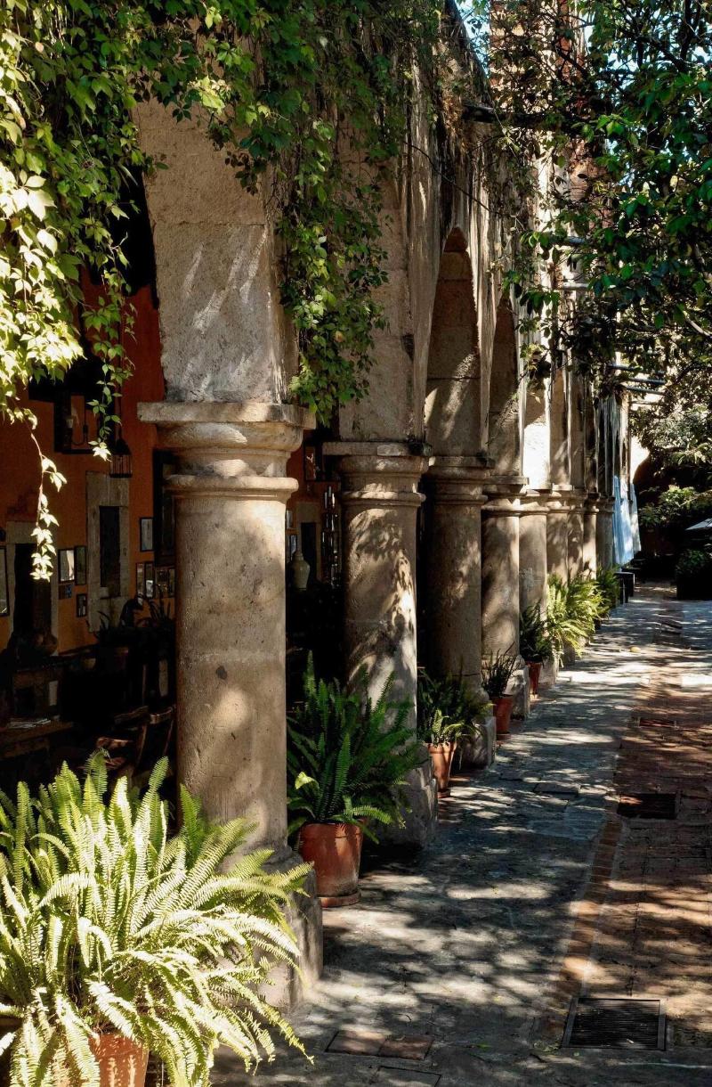 Hacienda El Carmen Hotel Spa image