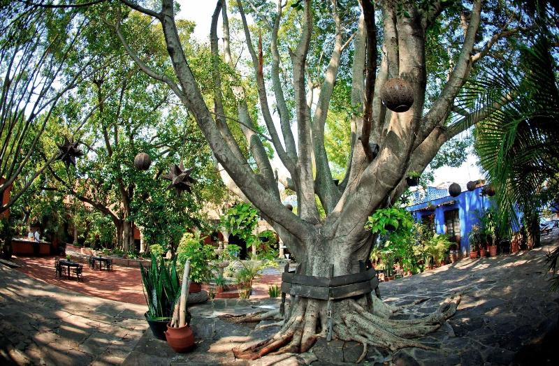 Hacienda El Carmen Hotel Spa image