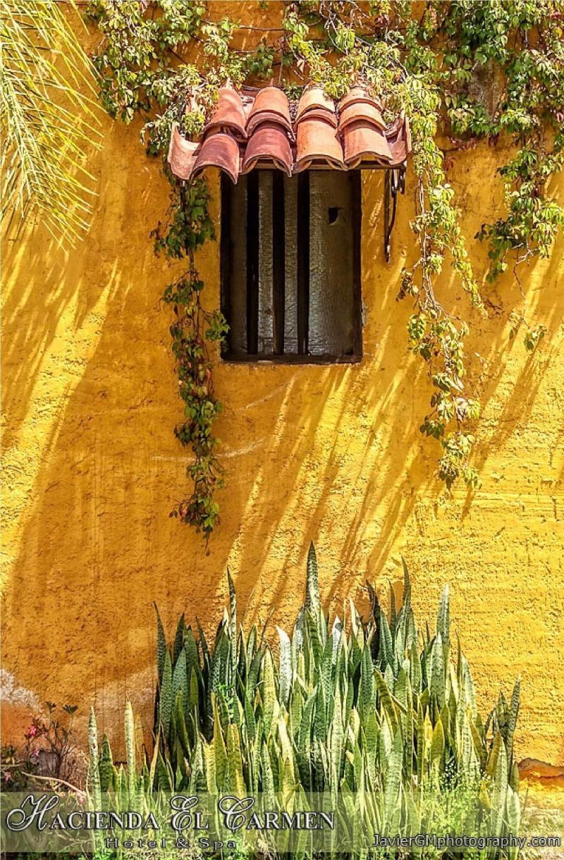 Hacienda El Carmen Hotel Spa image
