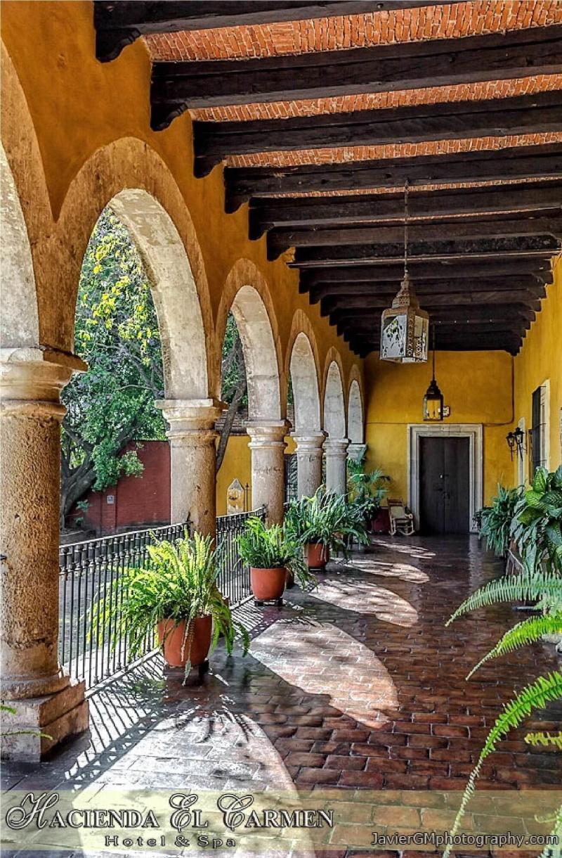 Hacienda El Carmen Hotel Spa image