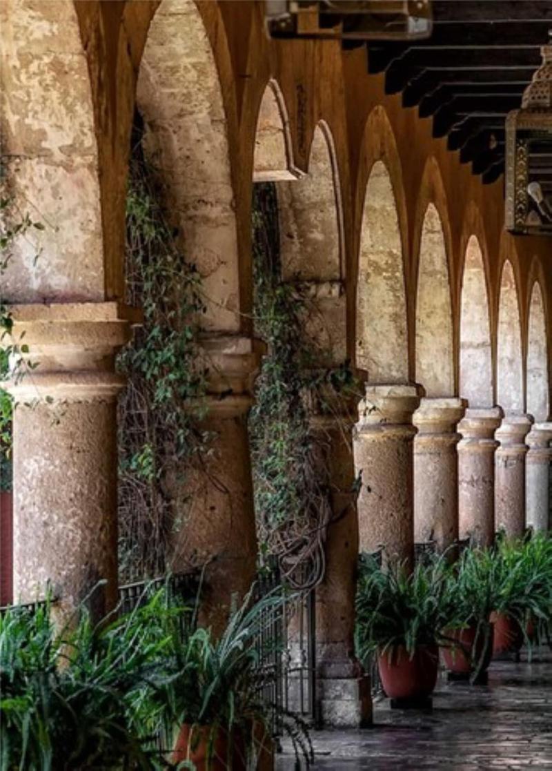 Hacienda El Carmen Hotel Spa image