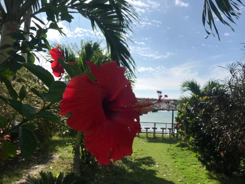 Hostera A Puerto Gaviota image