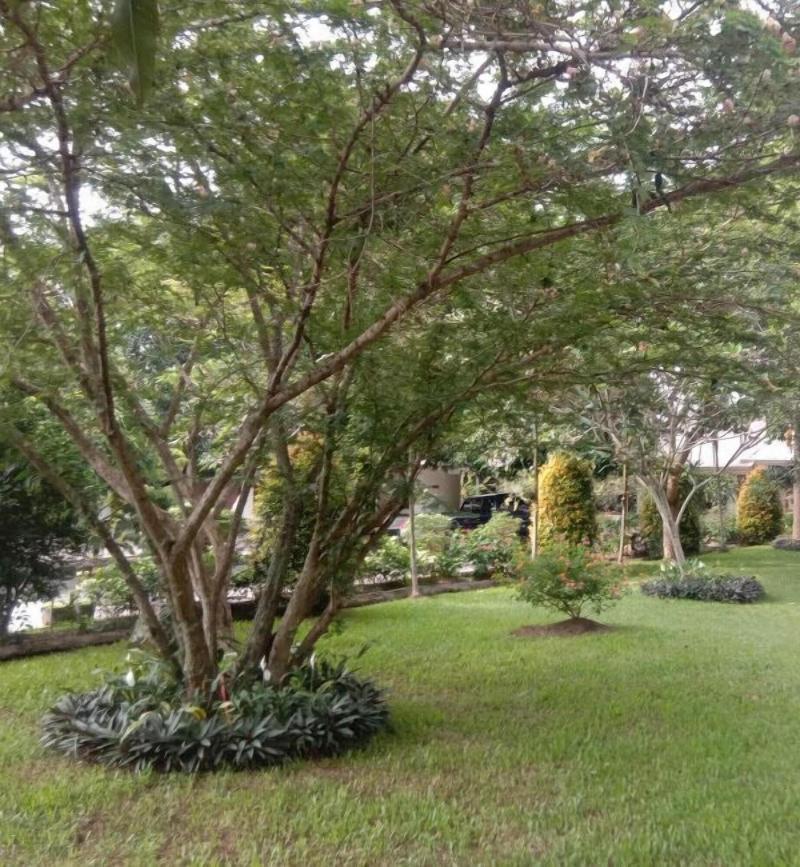 Siantar Hotel Pematangsiantar image