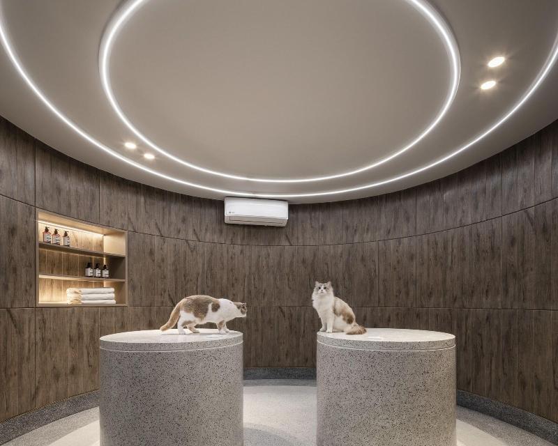 Mike Orchid Resort image