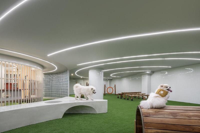 Mike Orchid Resort image