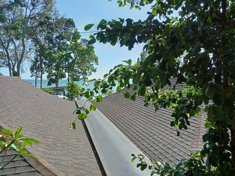 Blue Orchid Beach Krabi image