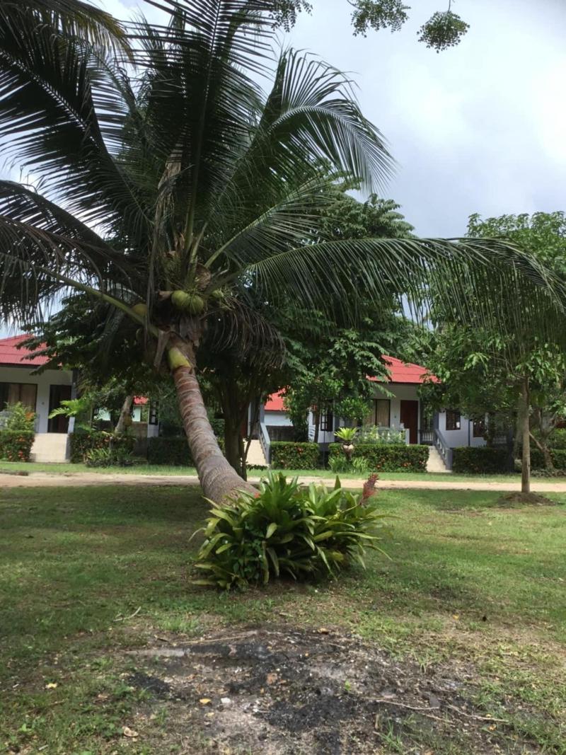 Baan Wasana
