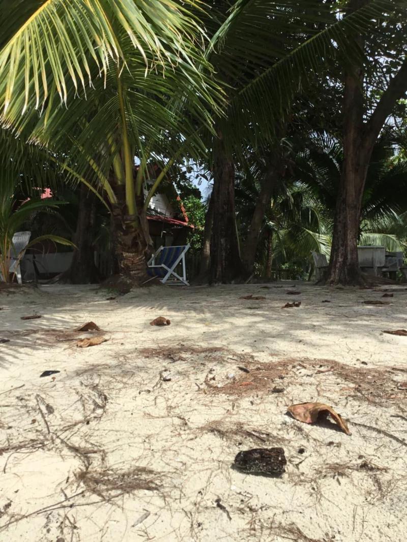Baan Wasana